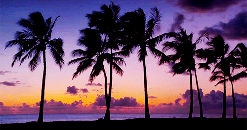 Our 6 favourite things about sunshine